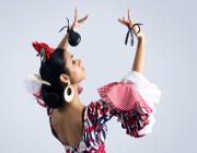 Flamenco fotolia